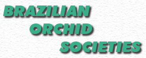 Brazilian Orchid Societies